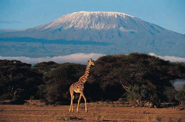 Kilimanjaro Dağı - Tanzanya