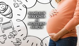 Hamilelik Hakkında İlginç Gerçekler